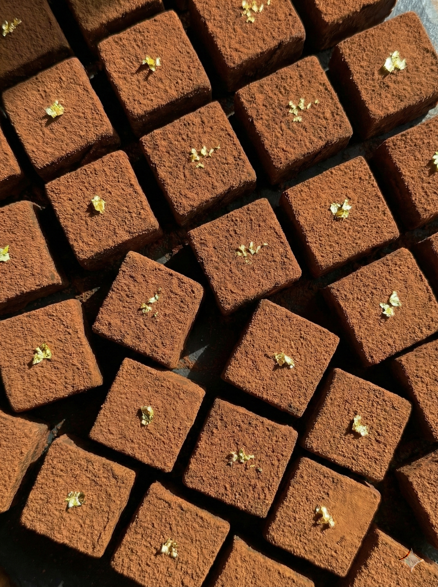 KTeaShop Signature Matcha or Hojicha Chocolate box | 10 Piece | 70 box limited edition