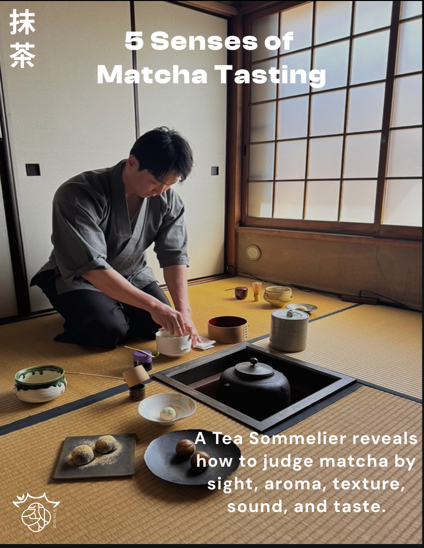 Master Matcha in One Day in Zurich