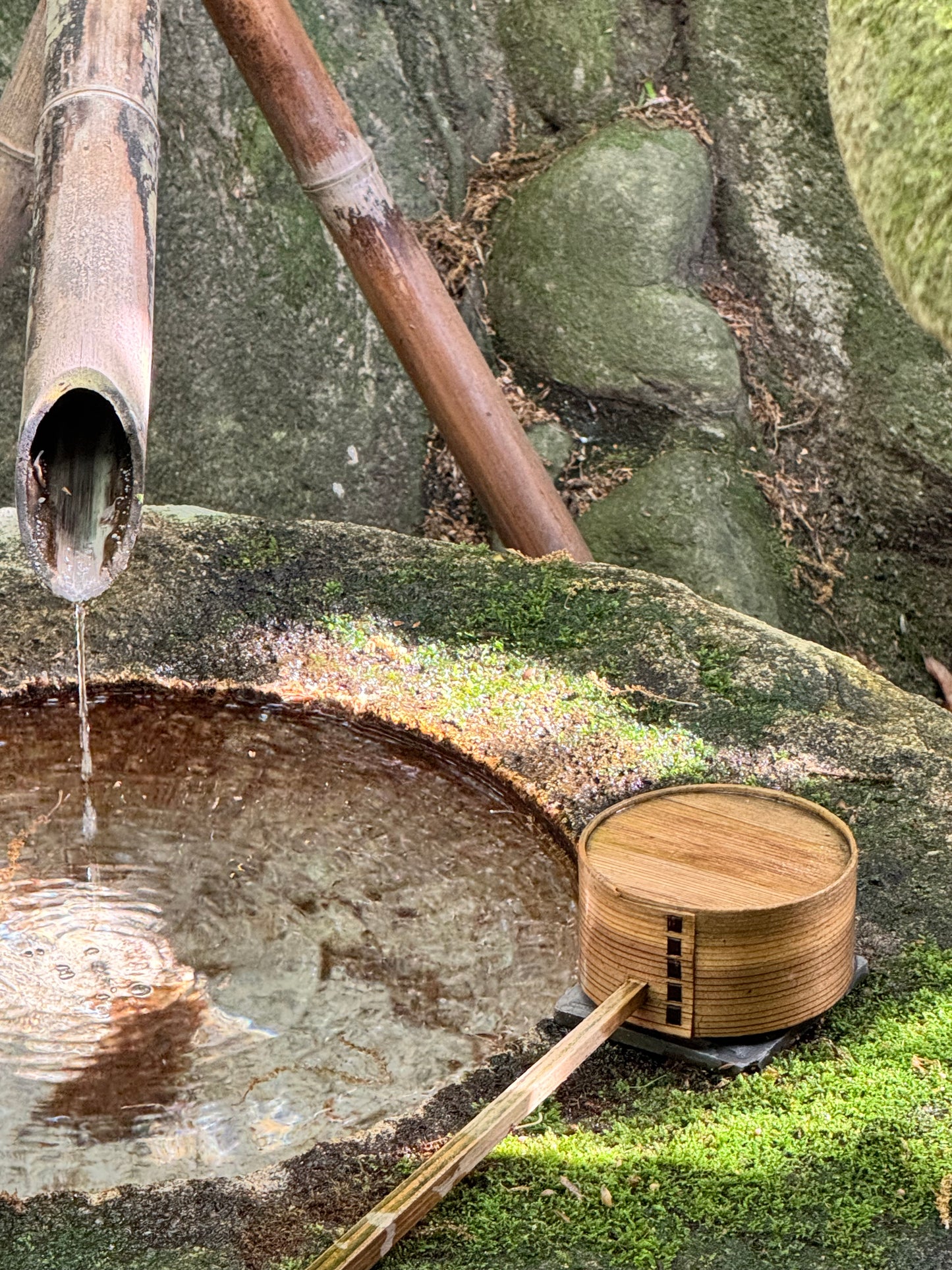 capturing_the_sound_of_silence_in_a_traditional_tea_ritual