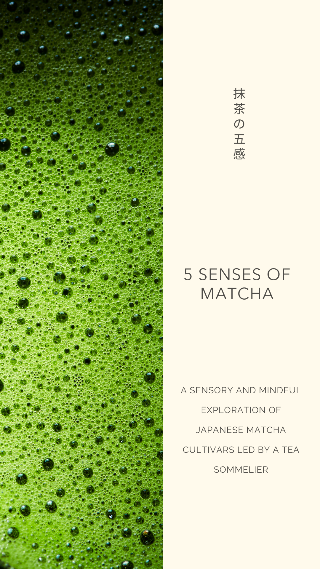 Tea Sommelier Matcha Guide: Come Scegliere e Gustare il Miglior Matcha