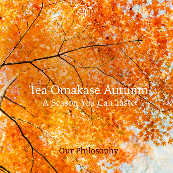 Korean Tea Ceremony Zürich | Mindful Calm, Authentic Hospitality, and Stillness