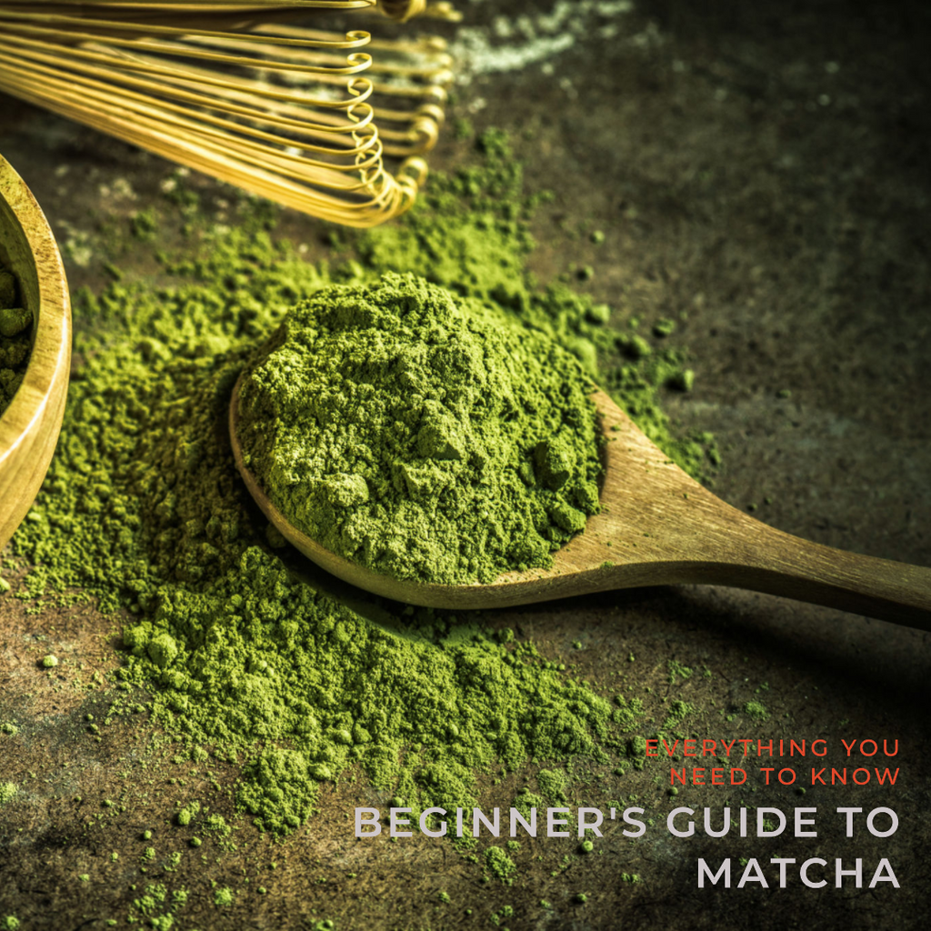 A Beginner's Guide to Matcha: Everything You Need to Know