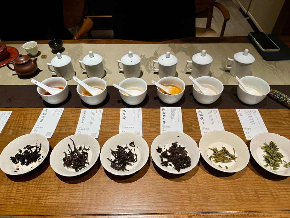 First Tea Omakase experience in Zurich 