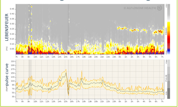 The Secret of Tea Ritual: From Forbidden Practice to Modern Recovery