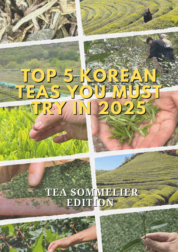 Top 5 Korean Teas You Must Try Before You Die — Tea Sommelier Edition
