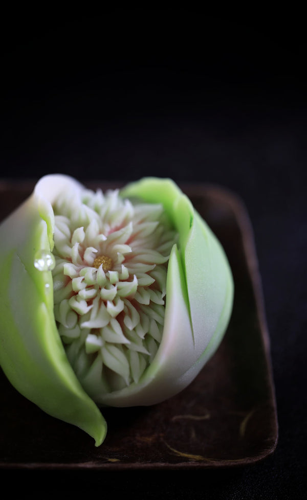 What Is Wagashi? A Beginner’s Guide to Japanese Confectionery