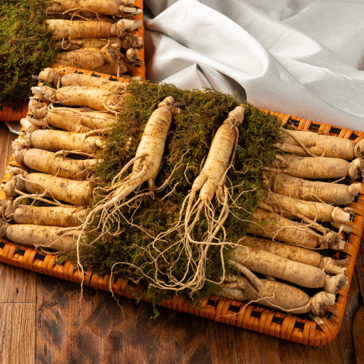 Korean Ginseng: A Natural Boost for Energy, Cognitive Function, and Overall Health