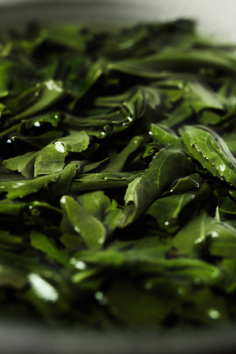 Master Artisan Balhyocha (Black Tea)