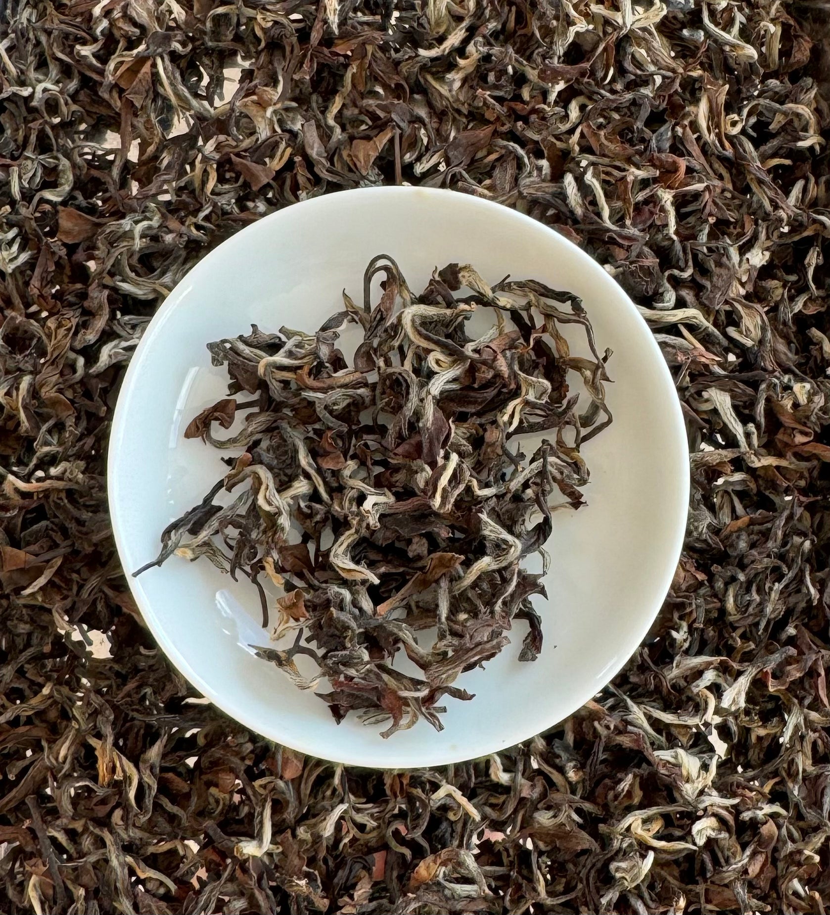 Autumn Harvest Oriental Beauty Oolong Tea – A Symphony of Five Colors