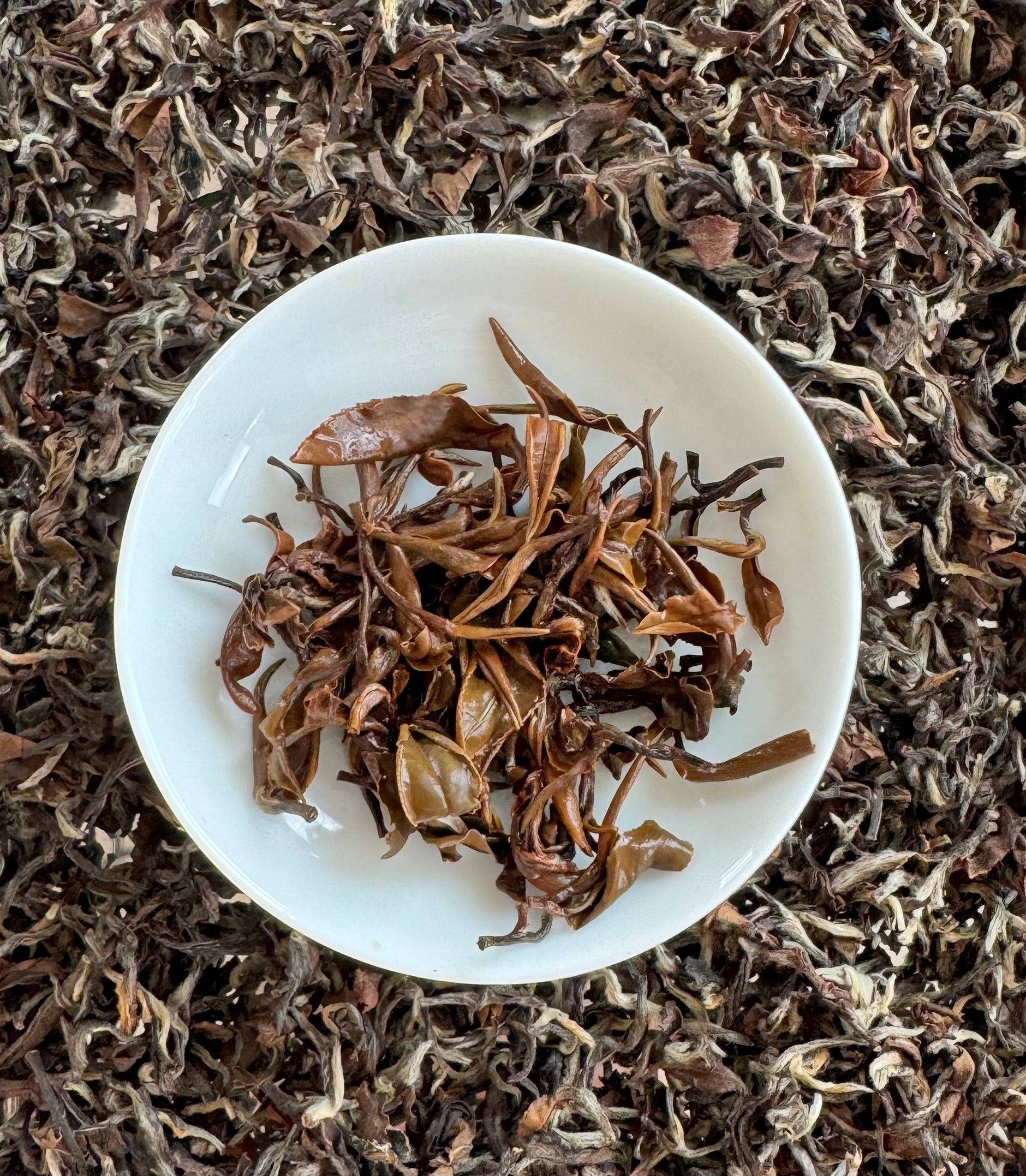 Autumn Harvest Oriental Beauty Oolong Tea – A Symphony of Five Colors