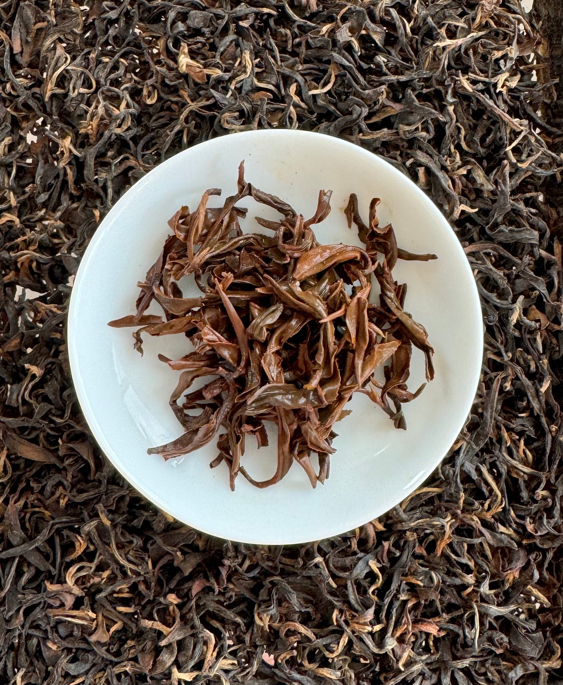 Award-Winning Black Tea from 增福茗茶 – A Fusion of Oriental Beauty & Jin Jun Mei