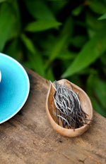 Jade Ivory Tea dry leaf — single bud white tea from Yiwu forest