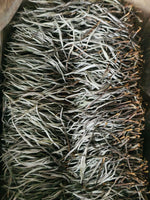 Jade Ivory Tea — Ancient Tree White Tea | KTeaShop