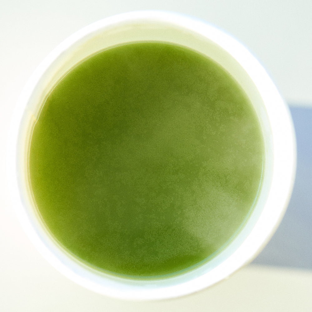 OSULLOC Premium Matcha Powder (Unsweetened), Premium Organic| Pure Leaf Green Tea from Jeju | 40g