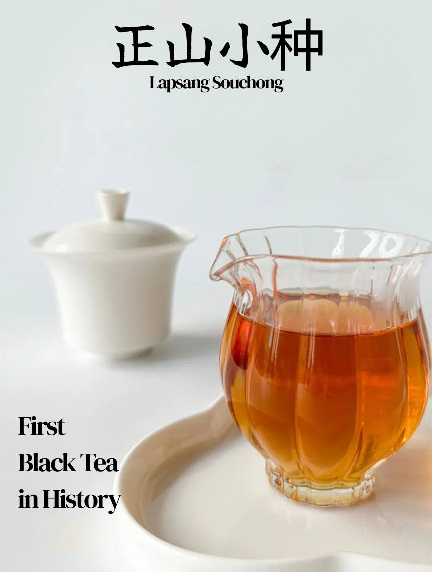 First Black Tea in History – Zhengshan Xiaozhong (Lapsang Souchong) from Wuyi Mountain, Tongmu Village | 40g