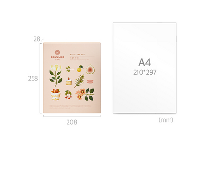 Lovely Korean Tea Gift Set – Osulloc Pyramid Black Tea Collection (12 Bags)