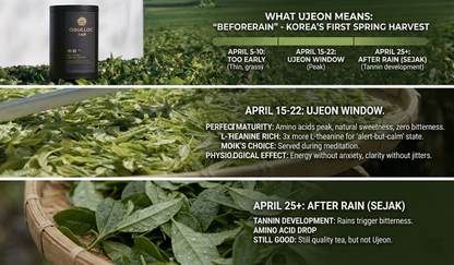 OSULLOC Heritage Collection Ujeon Grüner Tee | KTeaShop