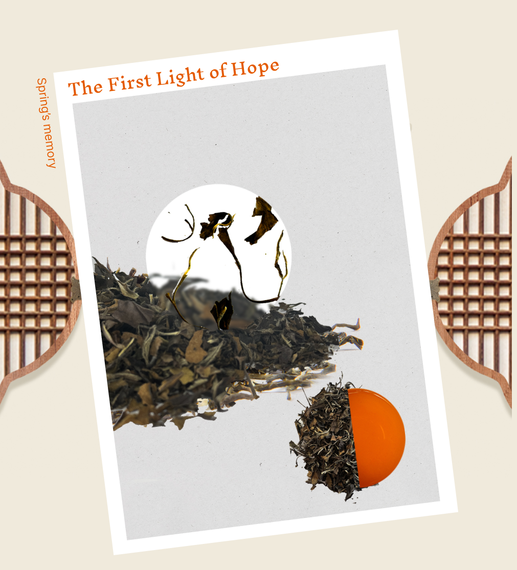 Vorbestellung | 사계 Four Seasons Teekollektion | Four Seasons Tee-Geschenkset