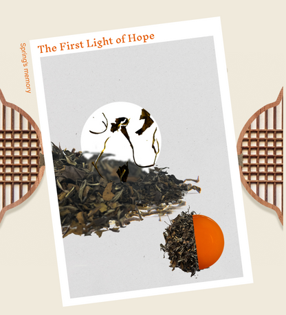 Vorbestellung | 사계 Four Seasons Teekollektion | Four Seasons Tee-Geschenkset