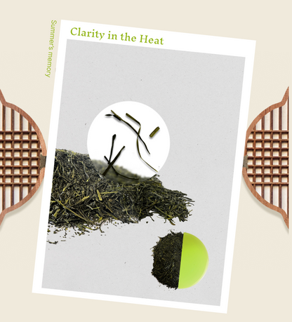 Vorbestellung | 사계 Four Seasons Teekollektion | Four Seasons Tee-Geschenkset