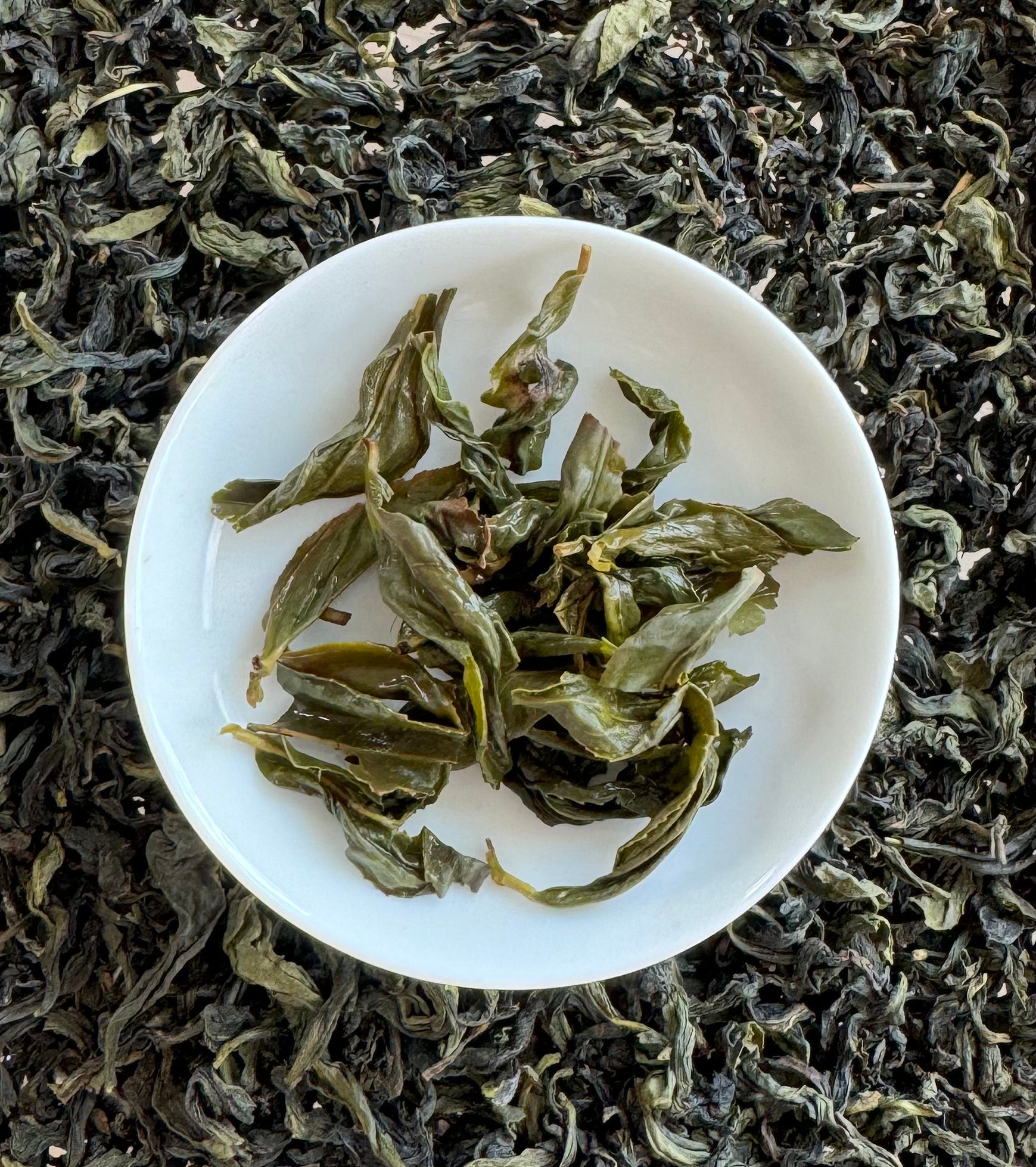 Wenshan Pouchong Tea – Taiwan’s Fragrant Legacy 3