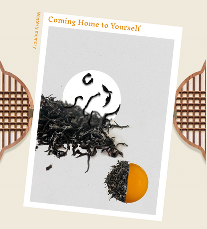 Vorbestellung | 사계 Four Seasons Teekollektion | Four Seasons Tee-Geschenkset