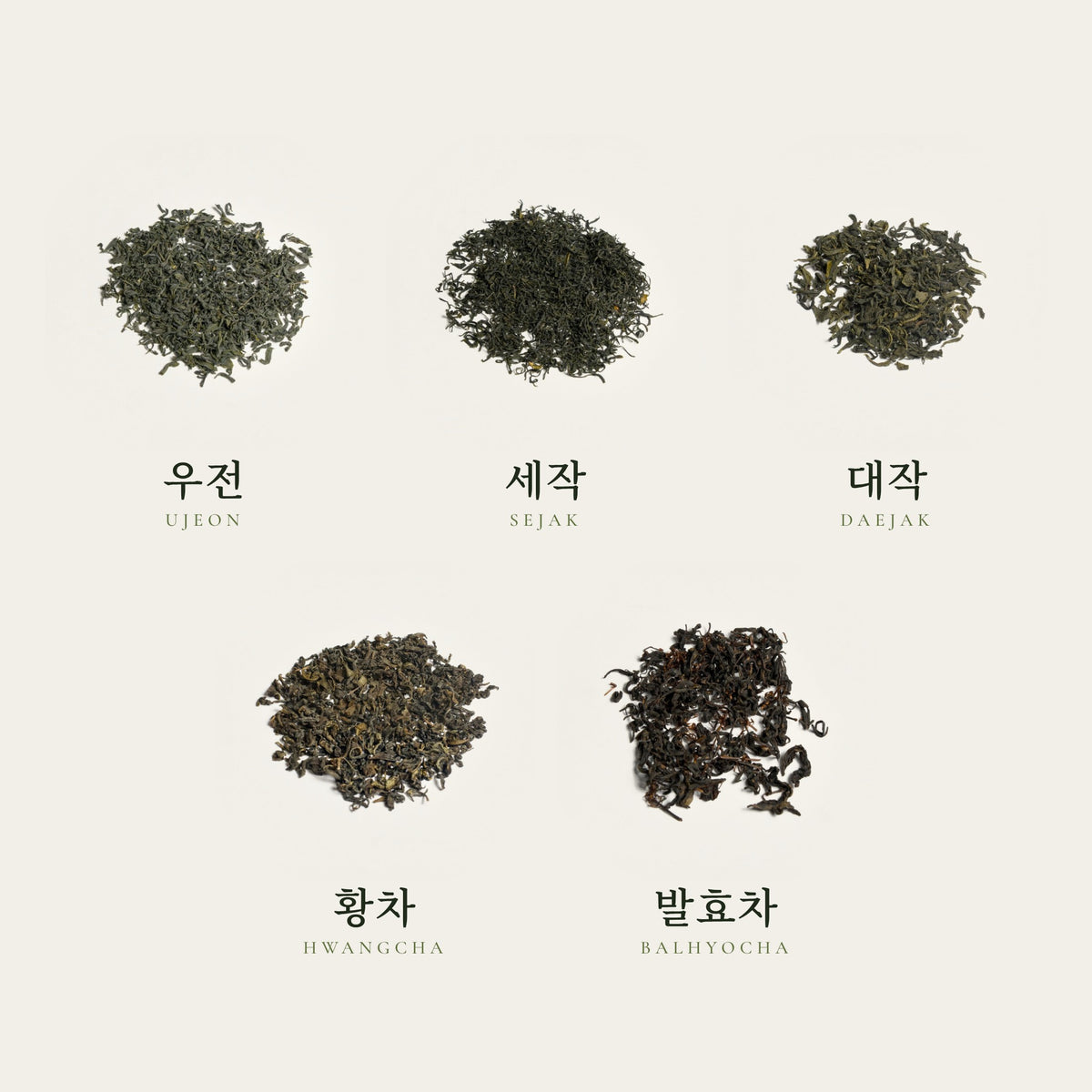 Korean Tea Discovery Kit: 우전, 세작, 대작, 황차, 발효차 as loose leaves