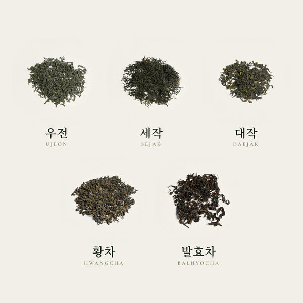 Korean Tea Discovery Kit: 우전, 세작, 대작, 황차, 발효차 as loose leaves