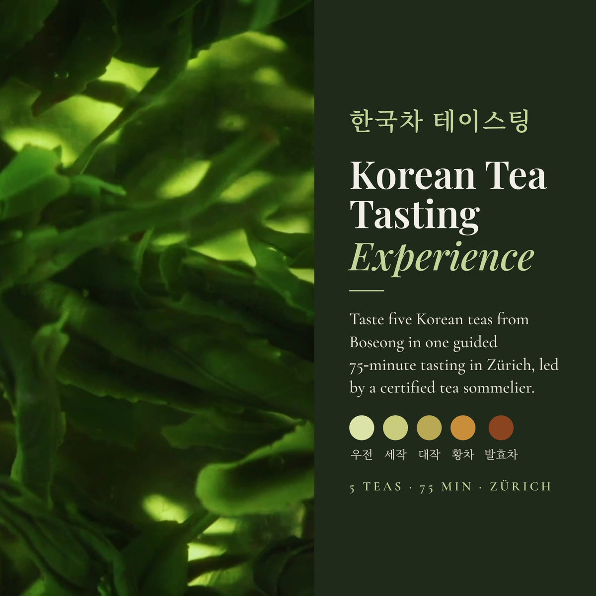 Korean Tea Tasting for Two at KTeaShop in Zürich