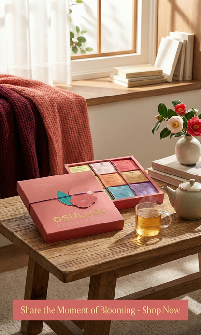 OSULLOC Teeset | Koreanische Premium-Teemischung im Beutel | Süßer Früchtetee | 36 Packungen 