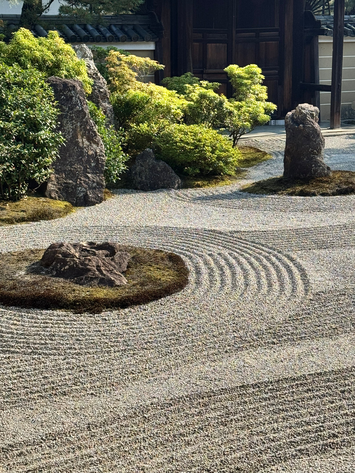 tradition-stillness-time-Tea_Omakase